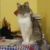 Отзыв от Тамара Дорофеева